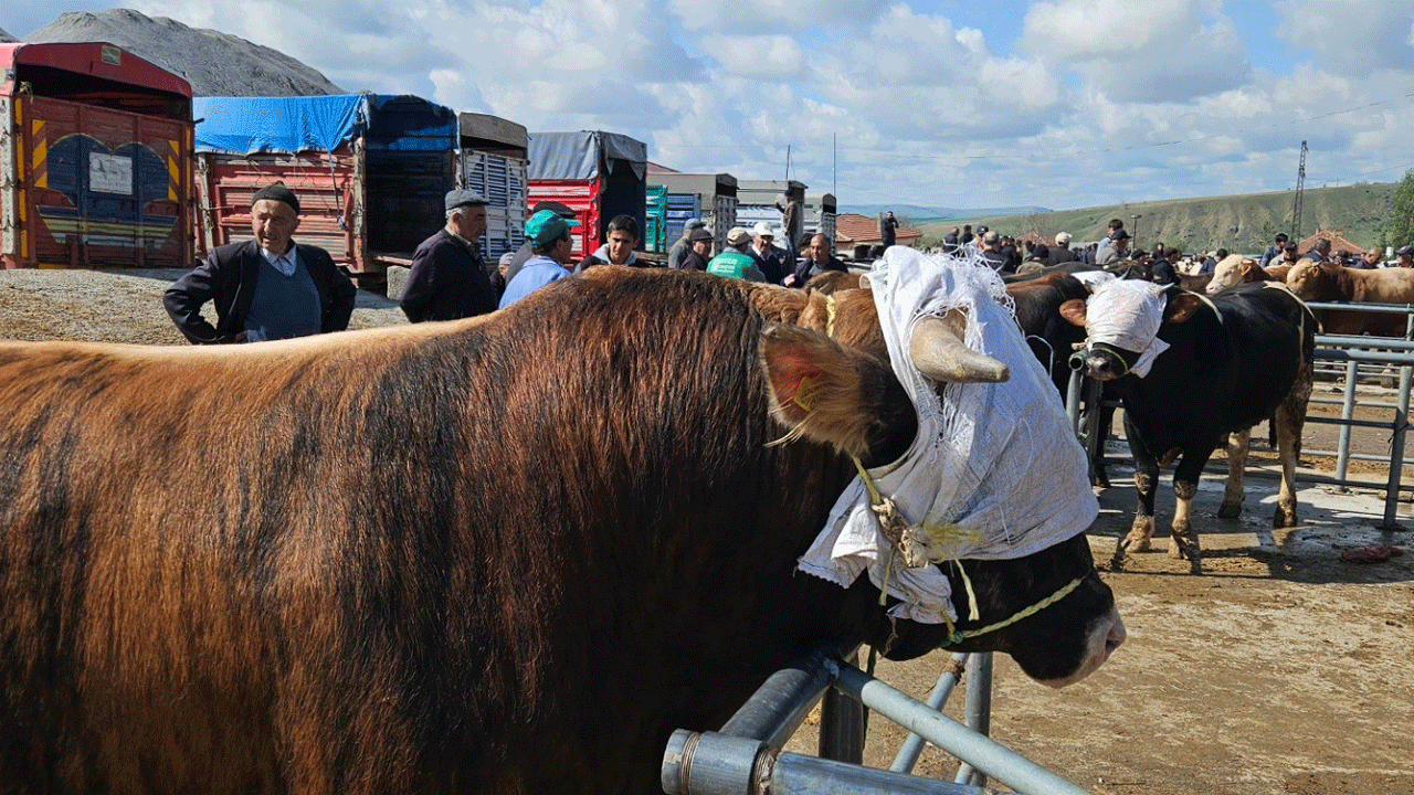 Yozgat’a giriş çıkışlar durduruldu: Tüm hayvan pazarları kapatıldı