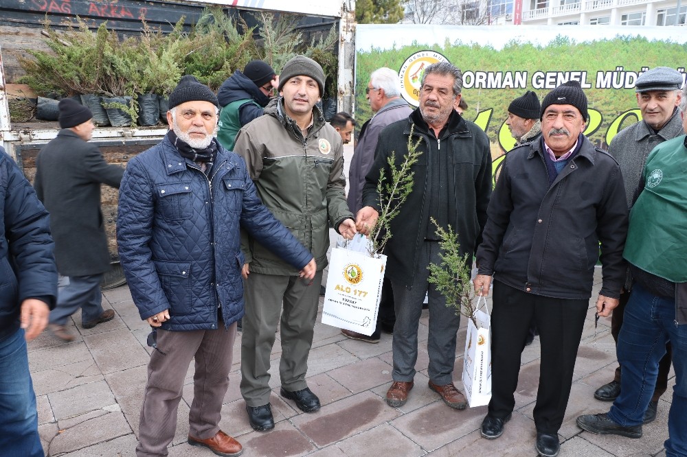 Yozgat’ta 2 bin 20 adet çam fidanı dağıtıldı 