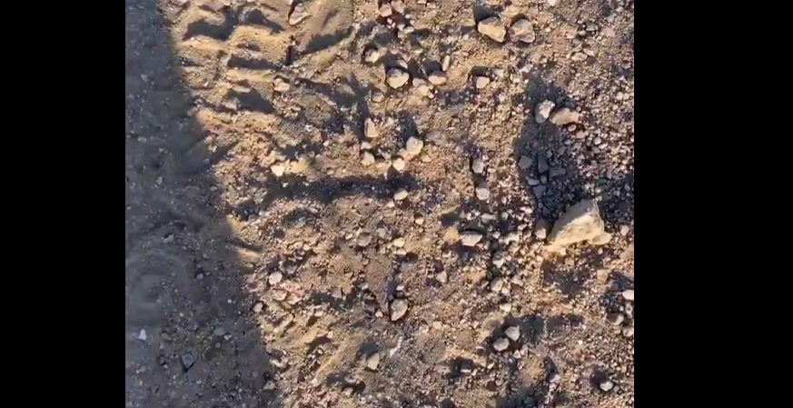 Yozgat’ta akılalmaz görüntü! Keneler vatandaşı kovaladı