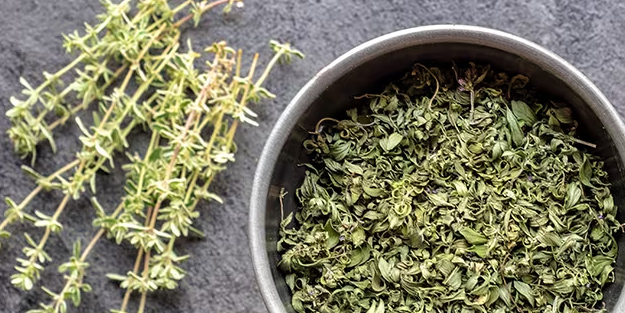 Yozgat'ta dağ taş her yerden fışkırıyor! Türkiye'ye yeni müjdelerin gelmesi hedefi: Yatırımcıların gözdesi