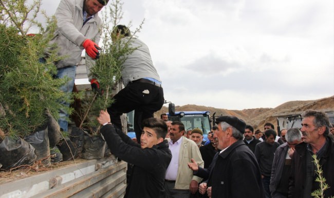 Yozgat'ta iş adamı 5 bin fidan dağıttı