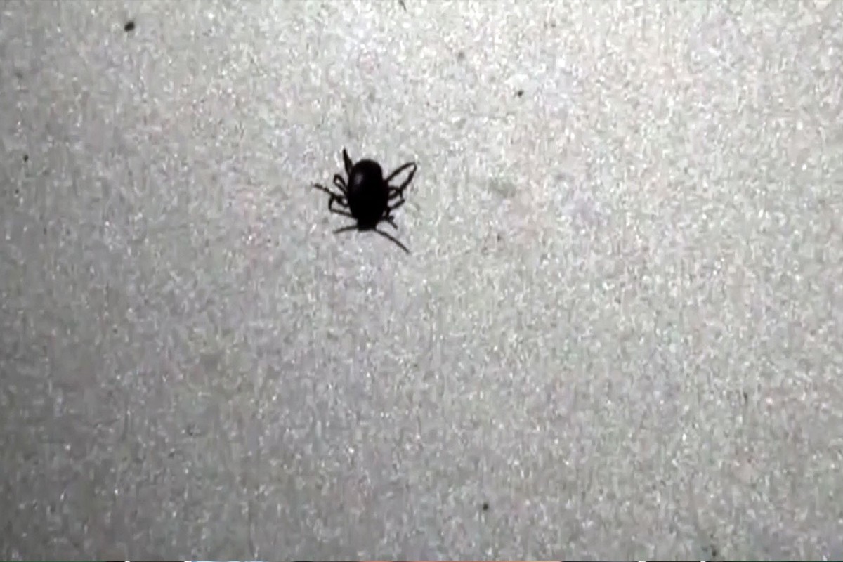 Yozgat'ta keneden ölenlerin sayısı 6'ya yükseldi