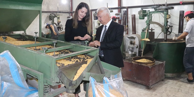 Yozgat'ta kurdu... Türkiye'nin dört bir tarafına gönderiyor
