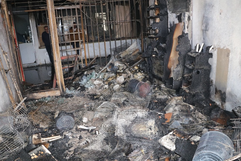 Yozgat’ta pet shopta yangın, çok sayıda hayvan telef oldu 