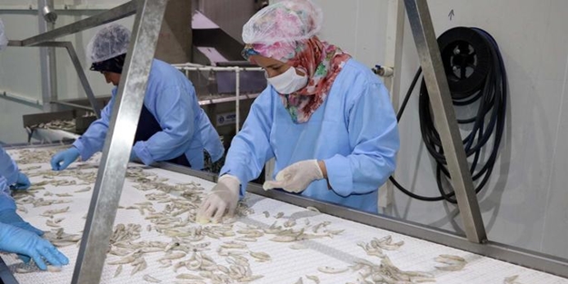 Yozgat'ta üretiliyor! Avrupa'da yok satıyor