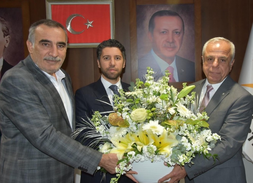 Yücel Bayram: 