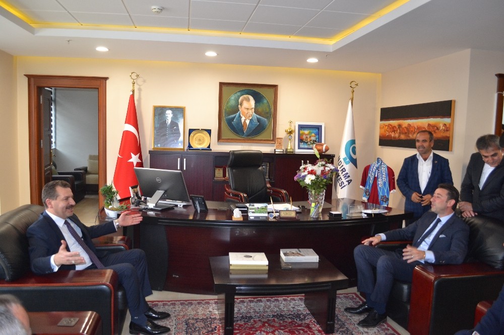 Yücel Yılmaz : 