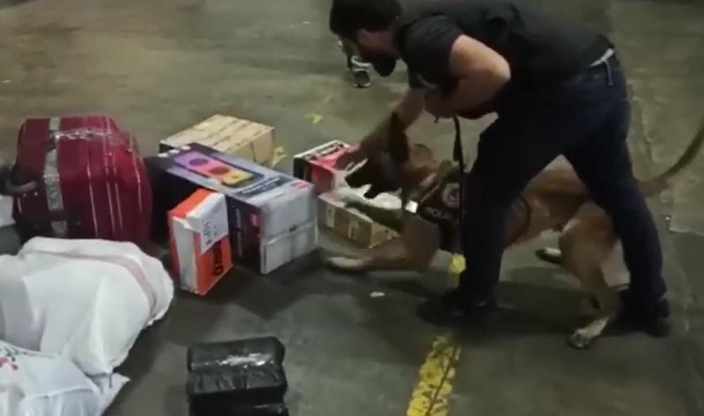 Yuh artık! Kargodaki hoparlörün içinden bakın ne çıktı