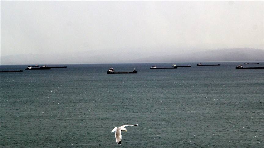 Yük gemileri kuvvetli rüzgar nedeniyle Sinop doğal limanına demirledi