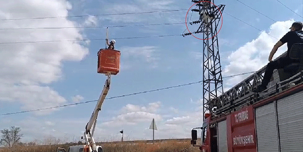 Yüksek gerilim hattında asılı kalan leyleği itfaiye kurtardı