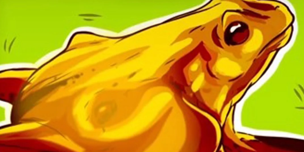 Yüksek IQ testi: İlk bakışta hangi hayvanı görüyorsunuz? At mı, kurbağa mı?