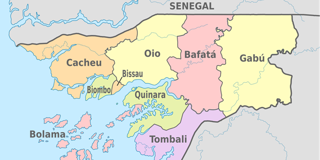 Yüksek mahkeme kararını verdi! Gine'de oylar yeniden sayılacak