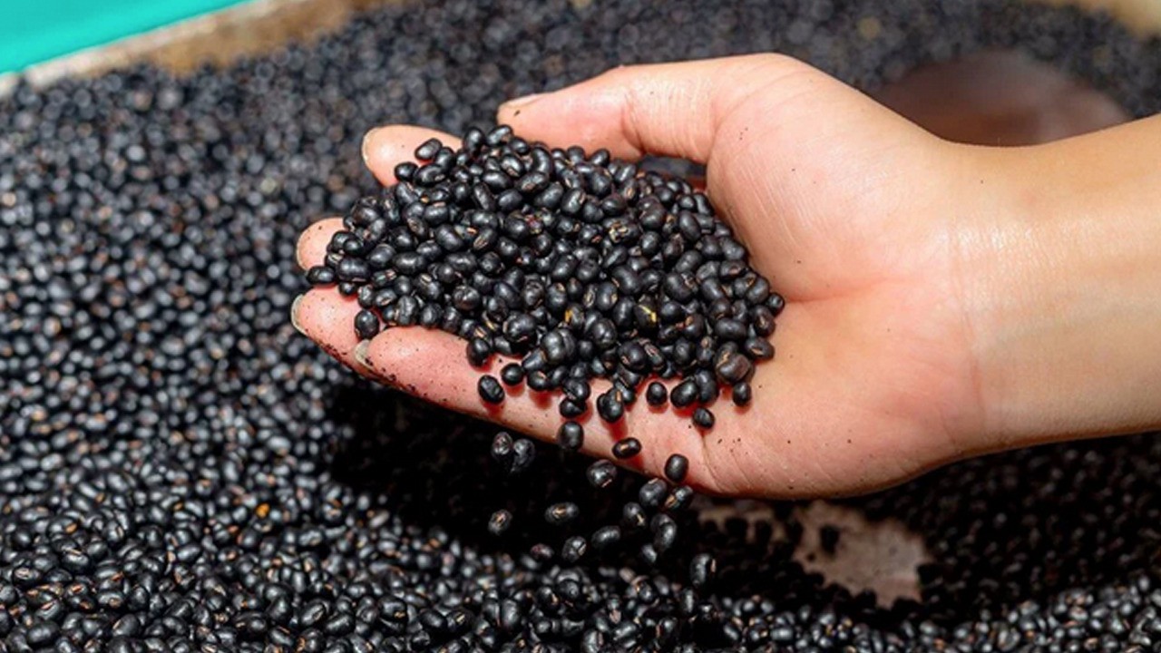 Uzman isim: Yüksek tansiyon tedavi edilmezse en büyük hata olur uyarı geldi!