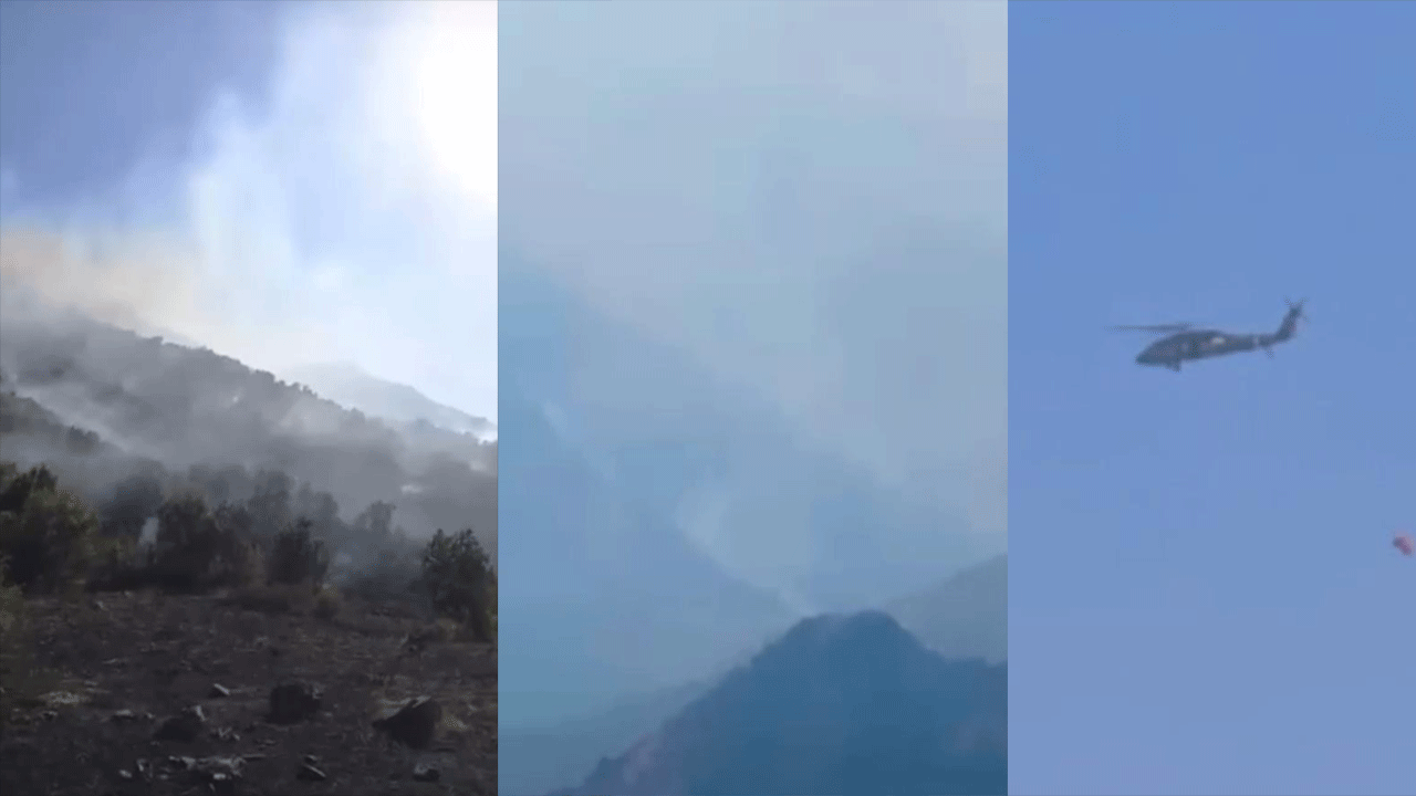 Yüksekova Dağlıca’da orman yangını