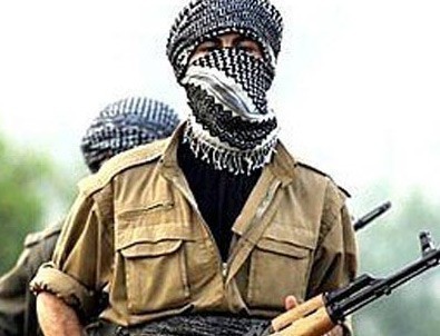 Yüksekova'da 196 PKK'lı öldürüldü