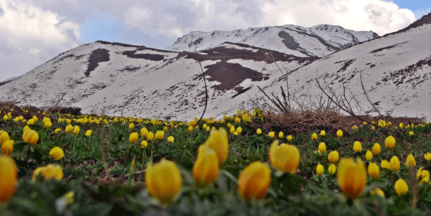 Yüksekova'da 2 mevsim bir arada