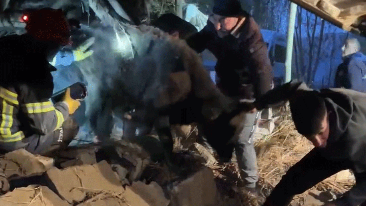 Yüksekova’da ahır çöktü, köylüler ve ekipler hayvanları kurtarmak için canla başla çalıştı