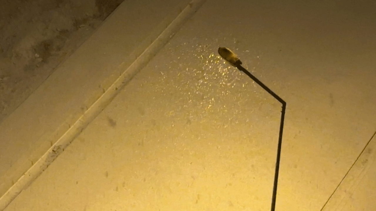 Yüksekova'da kar hayatı durdurdu! Taşımalı eğitime ara verildi