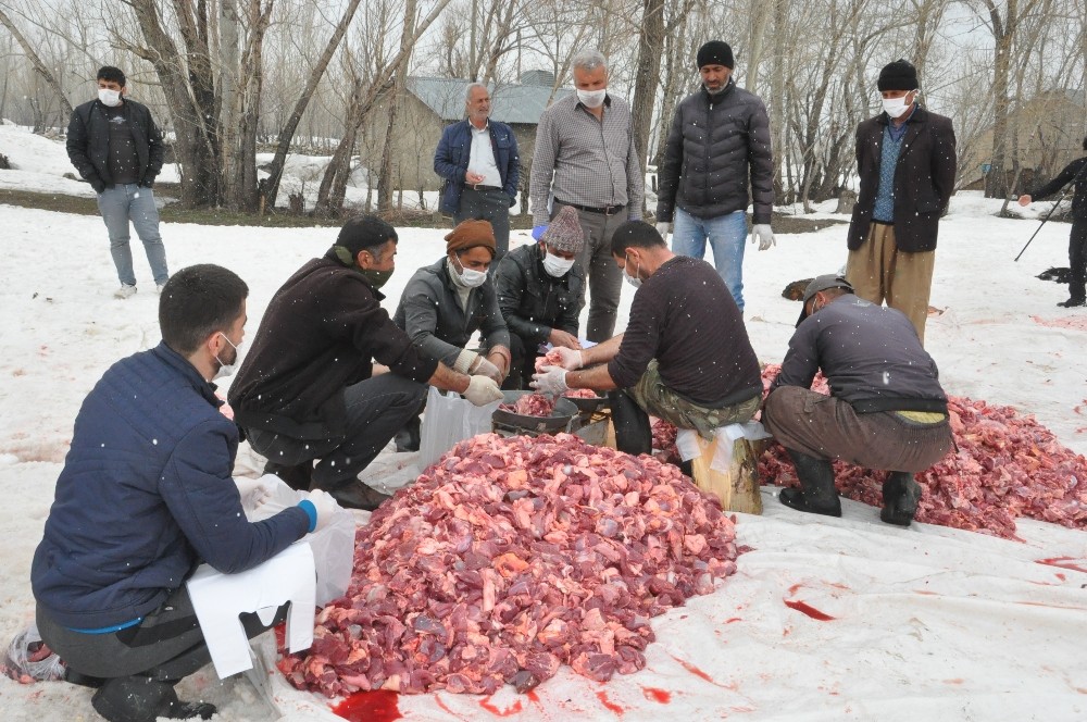 Yüksekova’da koronaya karşı 70 kurban kesilip dua edildi 