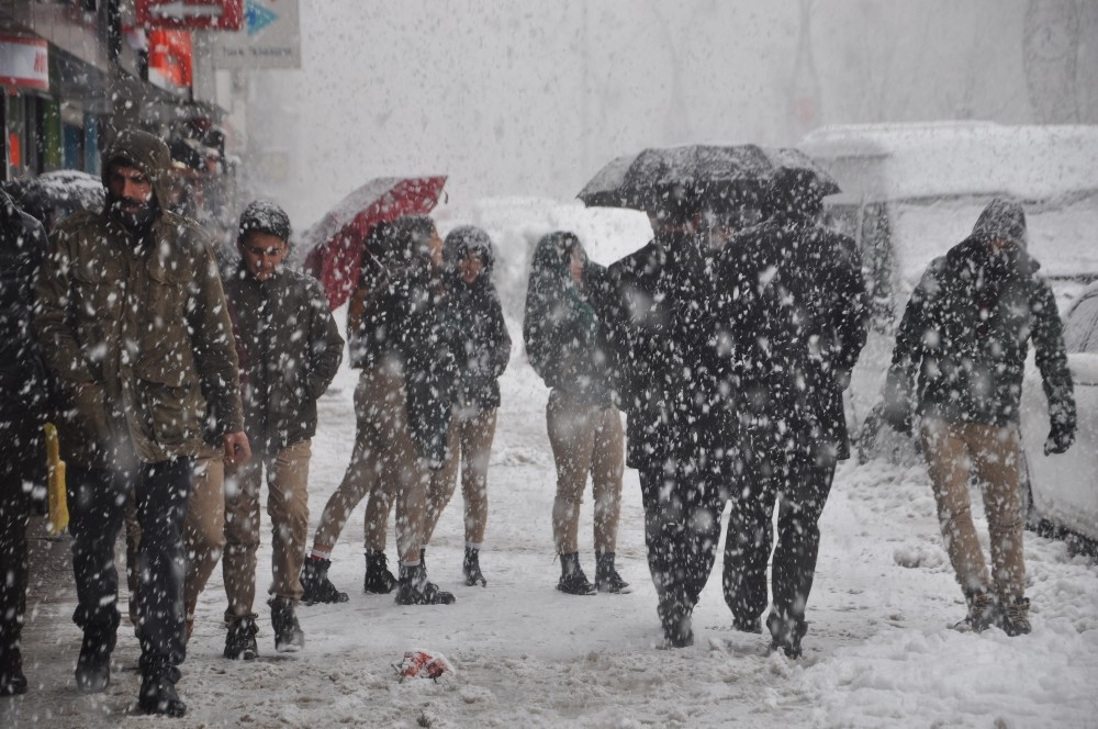 Yüksekova’da lapa lapa kar yağışı 