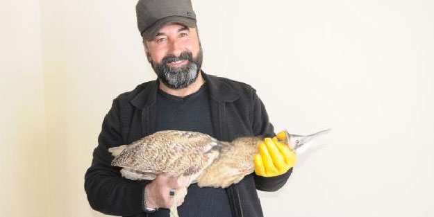 Yüksekova'da nesli tükenen balaban kuşu bulundu