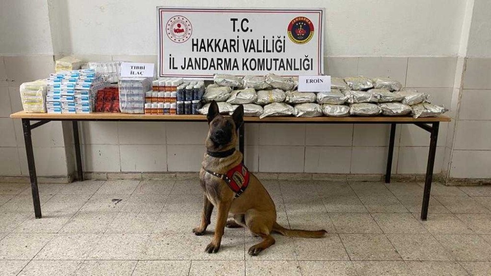 Yüksekova’da yüklü miktarda uyuşturucu madde ve tıbbi ilaç ele geçirildi 
