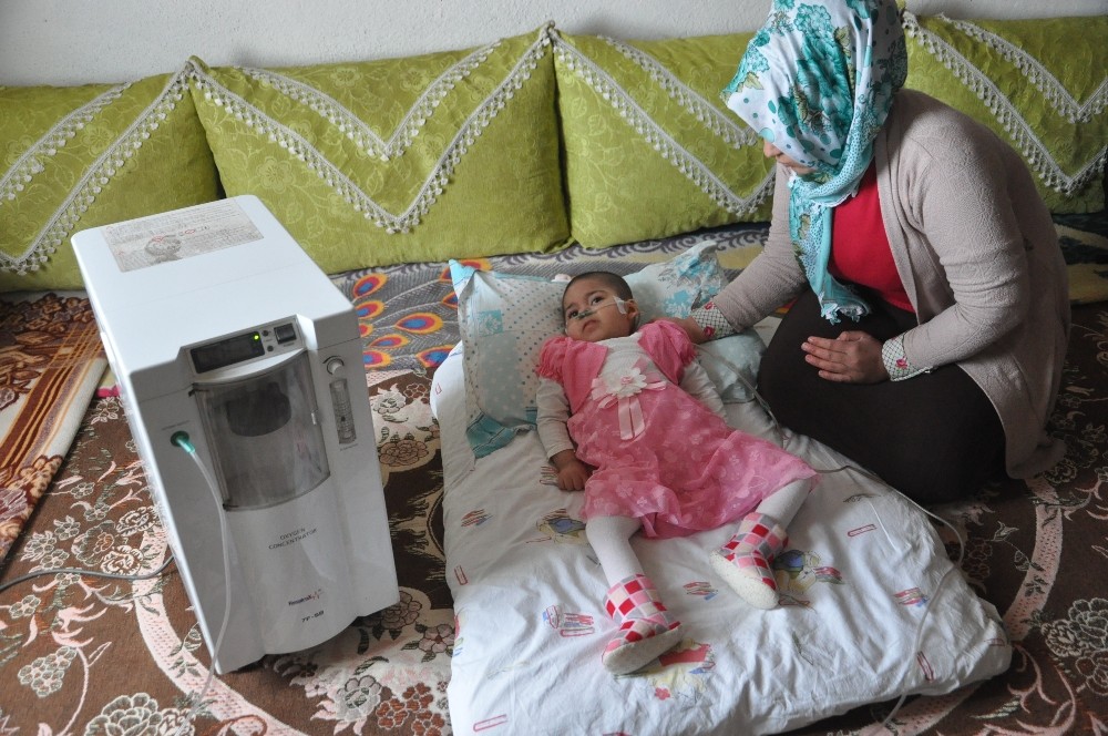 Yüksekovalı minik Maral’ın yaşam mücadelesi 