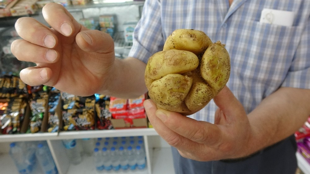 Yumruk değil 