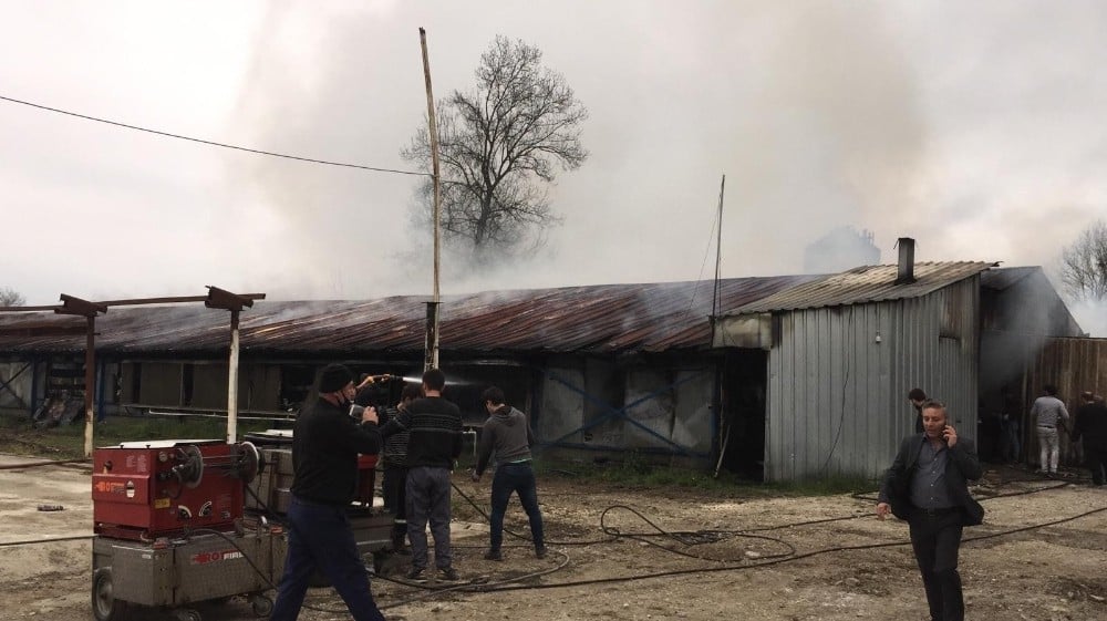 Yumurta fabrikasında çıkan yangında 12 bin tavuk telef oldu 