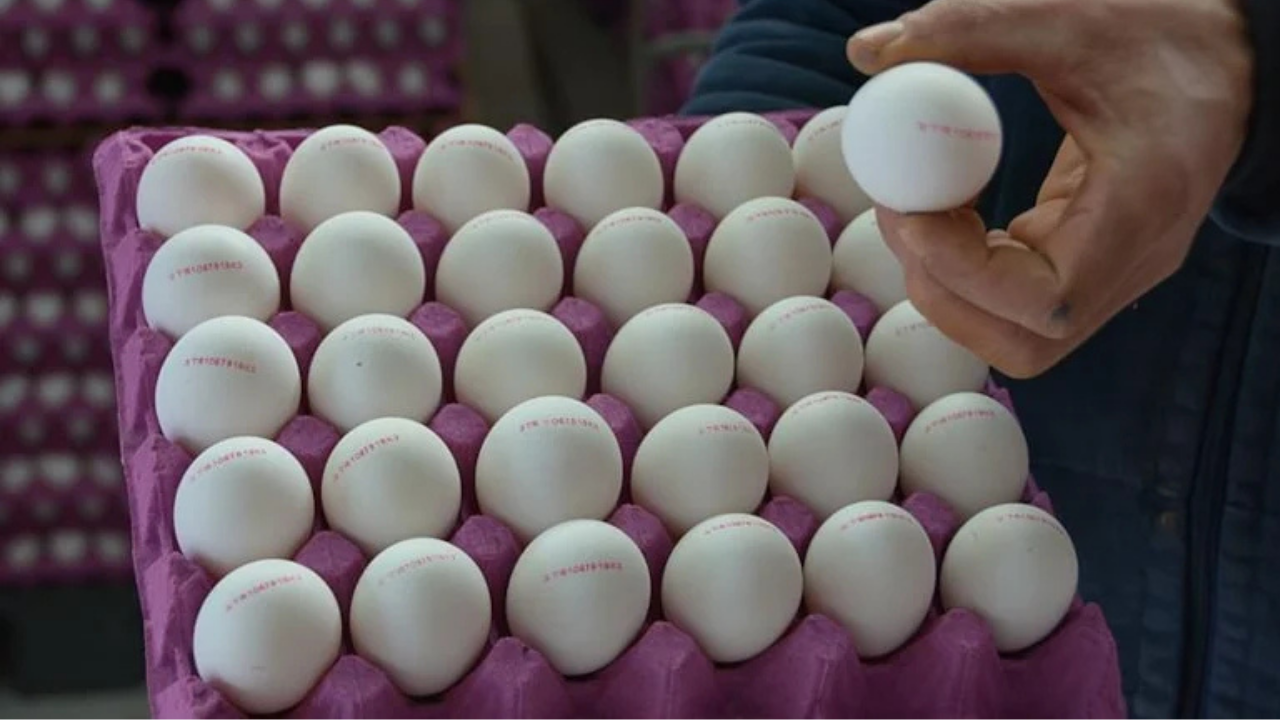 Yumurta fiyatlarındaki uçurum artık olmayacak!