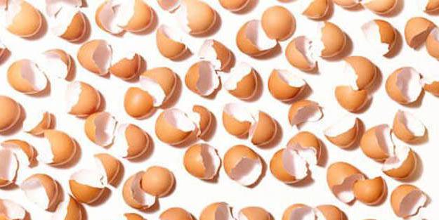 Yumurta kabuğu neye iyi gelir? Yumurta kabuğunun faydaları