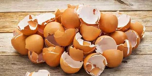 Yumurta kabuğunu çöpe atmayın!