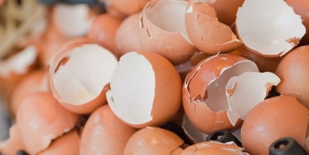 Yumurta kabuğunu kaynatıp fırınlarsanız...