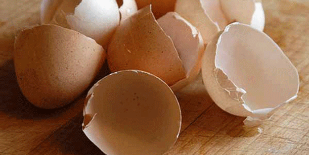 Yumurta kabuklarını atmayın