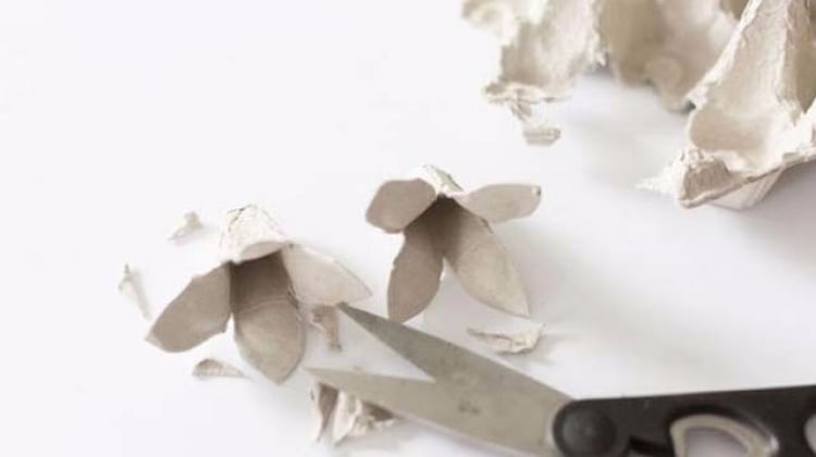 Yumurta kartonundan yaptıklarına şaşıracaksınız!