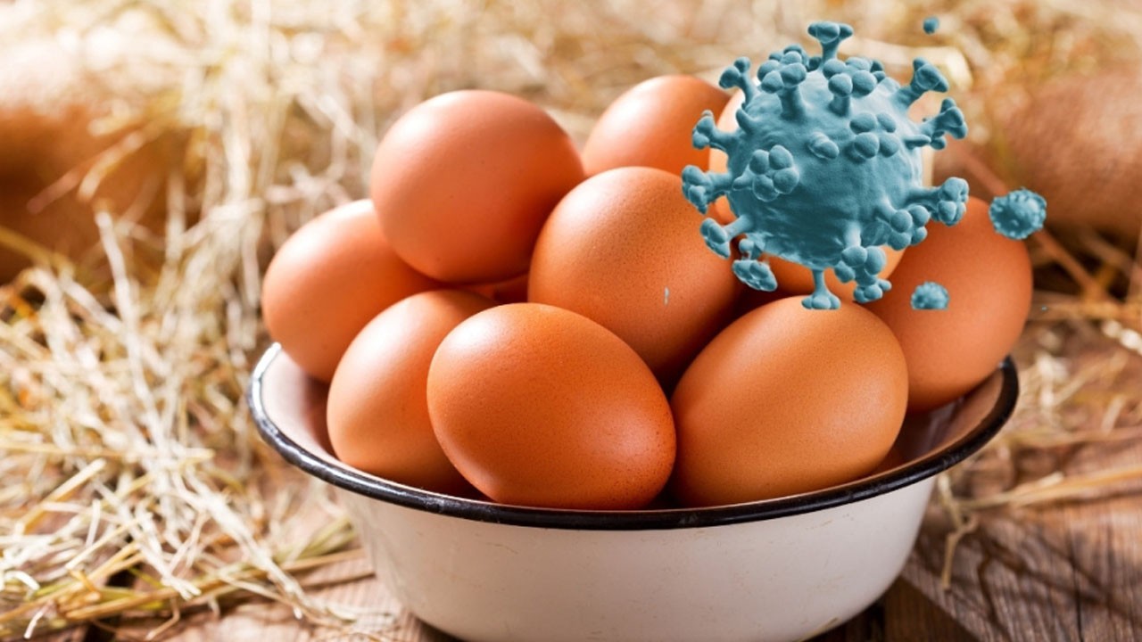 ABD’nin yumurtaları ‘kuş gribi’ oldu: Fiyat artışı peşinden geldi
