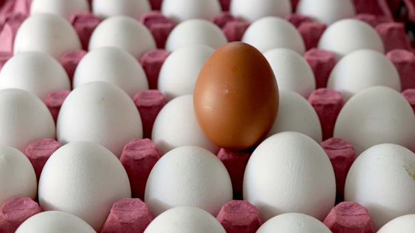 Yumurta üreticilerinden indirim açıklaması