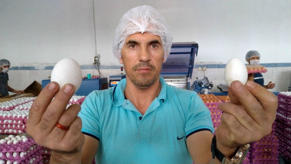 Yumurta üreticilerinin gözü Irak pazarında 