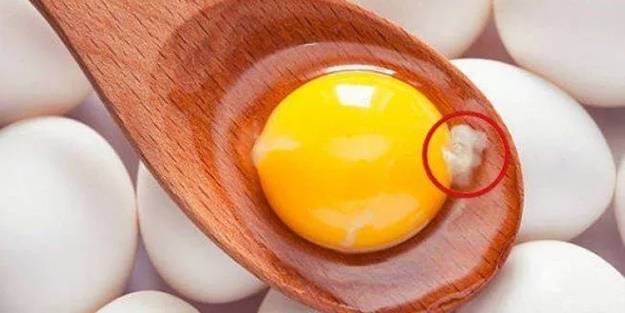 Yumurtadaki beyaz kısım bakın ne işe yarıyor! Gördüğünüze sevinin