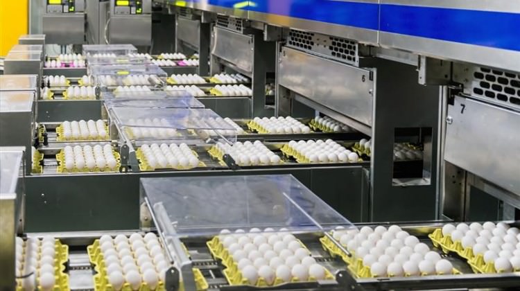 Yumurtalarda devrim! Nisan'da başlayacak