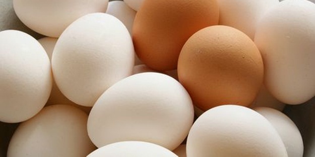 Tavuk pisliğine buluyorlar