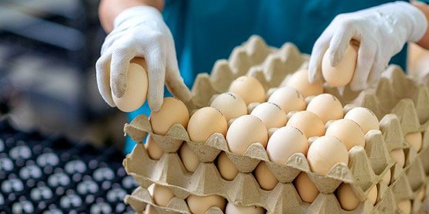 Yumurtaya rekor oranda zam! Vatandaş yemeden önce iki kez düşünecek