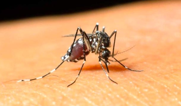 Yunan Adalarını tercih edenler kahrolacak!