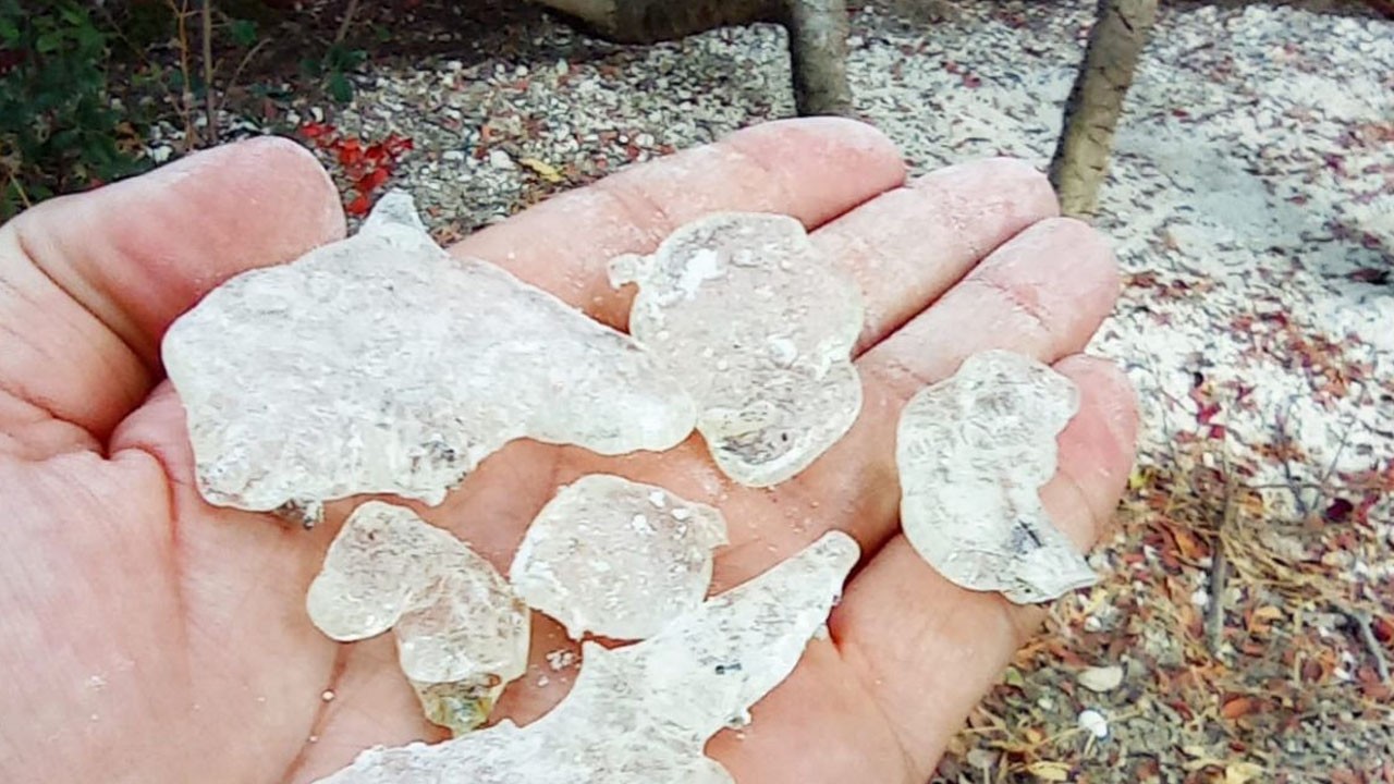 Yunanistan sahte dedi, Türkiye 'Anavatanı burası' dedi: Değeri tam 15 bin TL'yi aştı