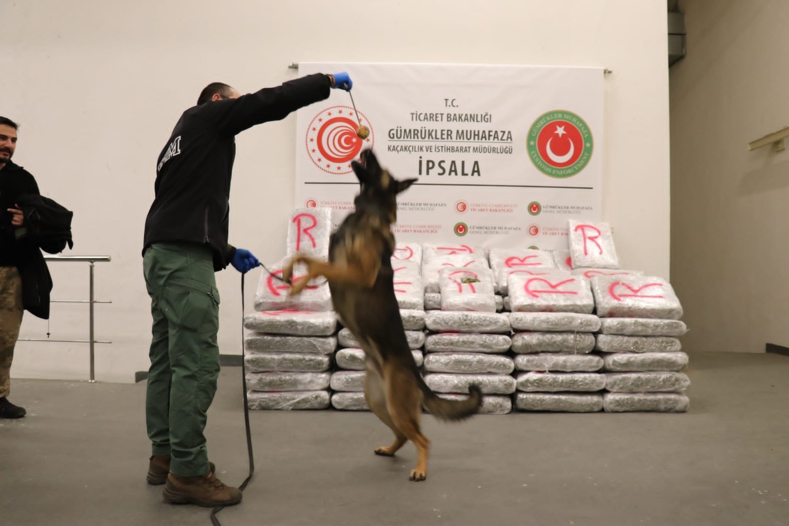 Yunanistan sınırında yüzlerce kilo esrar ele geçirildi