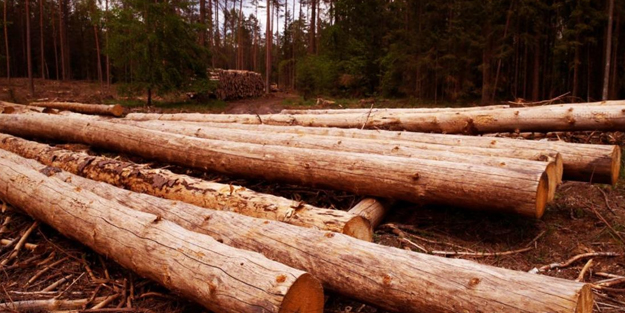 Yunanistan'da elektrik, doğal gaz, akaryakıt zammı odun fiyatlarına da yansıdı!