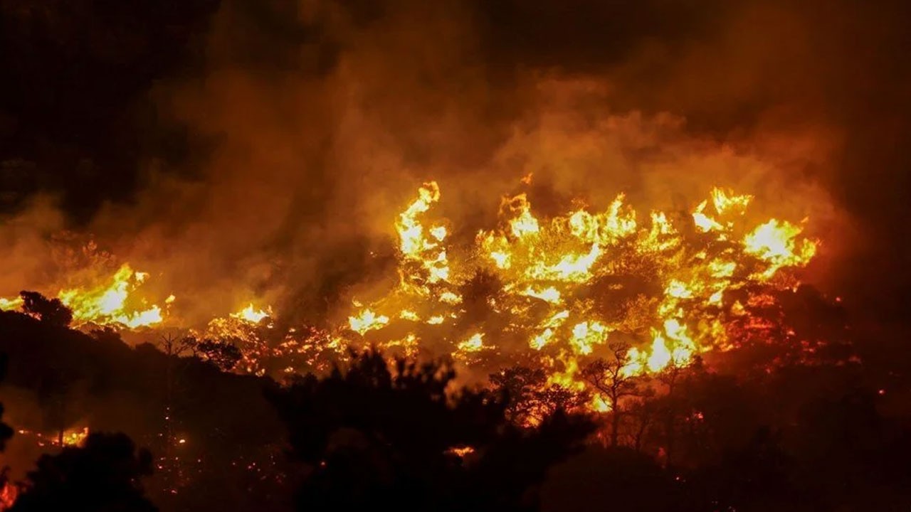 Yunanistan’da feci yangın: Ormanlar ve zeytinlikler küle döndü