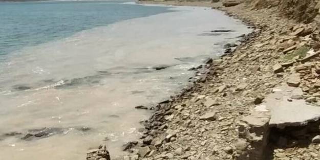 Yunanistan'da müsilaj paniği!