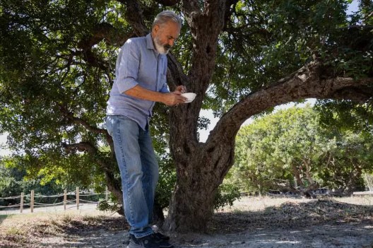 Yunanistan'ı solladı! Tüm Türkiye'nin ihtiyacını karşılıyor... Bakın kilosu kaç lira