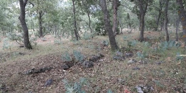 Yunanlıların katlettiği 83 Türk'ün mezarı bulundu